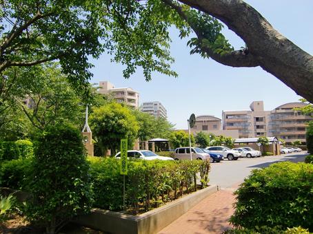 五月の緑風景-31 五月,緑,風景の写真素材