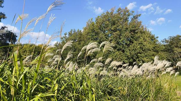 生きる 生きる,自然,風景の写真素材