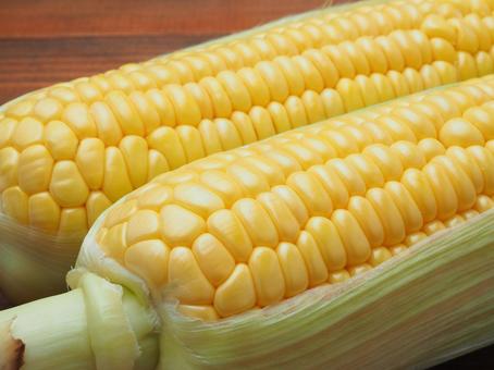 とうもろこし とうもろこし とうもろこし,テーブル,夏野菜の写真素材