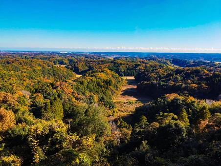 地平線まで色づく 紅葉,展望台,眺望の写真素材
