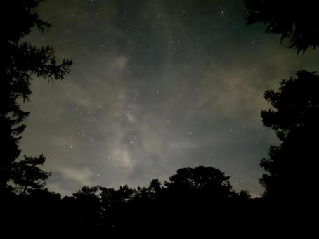 夏の夜空 森,風景,自然の写真素材