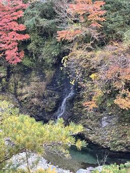 晩秋の田舎 風景,レトロ,ノスタルジーの写真素材