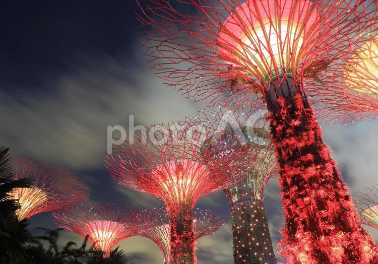 シンガポールのガーデン　バイ　ザ　ベイの夜景 外国,海外,シンガポールの写真素材