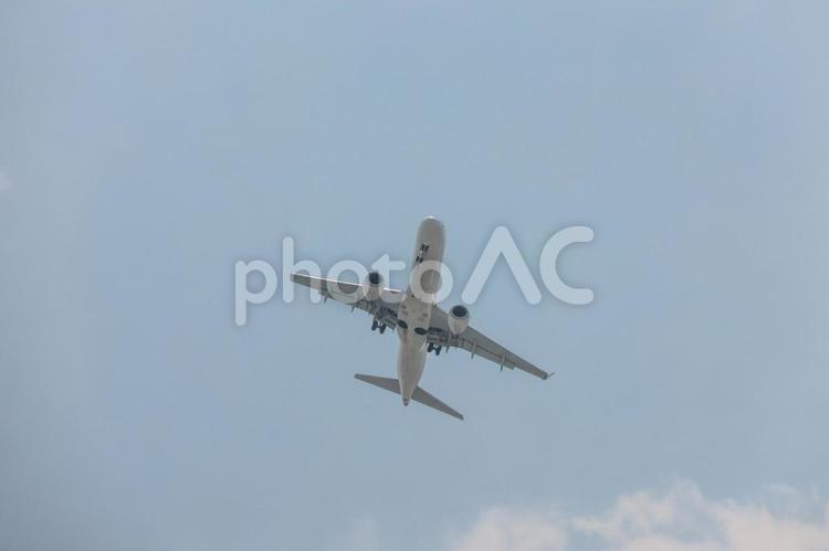 青空を突き抜けて、帰還 飛行機,航空機,旅客機の写真素材
