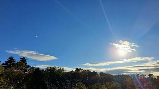 雑木林と空2 青空,空,林の写真素材