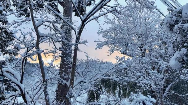 雪景色 雪景色の写真