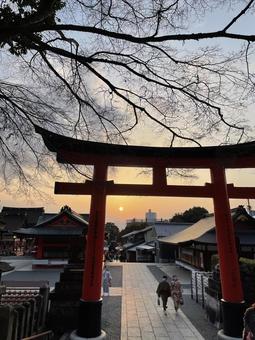 夕暮れ伏見稲荷 夕暮れ伏見稲荷 伏見稲荷神社,鳥居,京都の写真素材