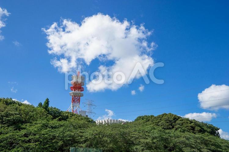 公園の新緑と青空 公園,風景,青空の写真素材