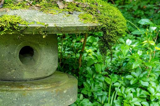 夏の石灯籠 夏の石灯籠 石灯籠,夏,木の写真素材