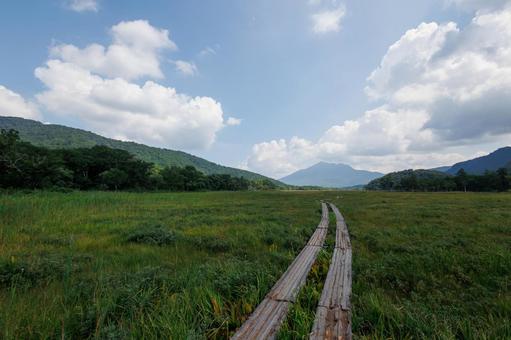 夏の尾瀬(木道) 夏の尾瀬(木道) 尾瀬,夏,風景の写真素材