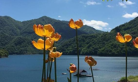 青空の九頭竜湖 青空の九頭竜湖 九頭竜湖,湖,晴れの写真素材