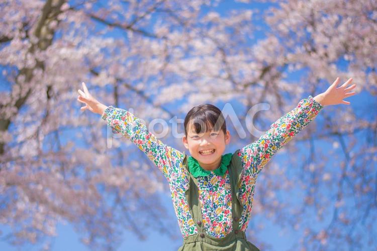 桜と笑顔の女の子　 ジャンプ,万歳,桜の写真素材