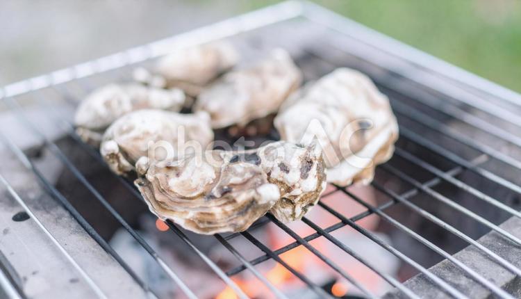 炭火で焼く焼き牡蠣 煙,炎,牡蠣の写真素材