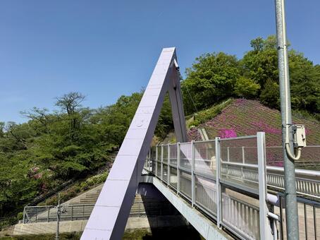 春の西山公園　西山橋とツツジ 西山公園,ゴールデンウィーク,石畳の写真素材