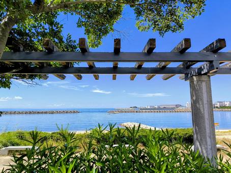夏の海、兵庫県明石市 夏の海,夏,盛夏の写真素材