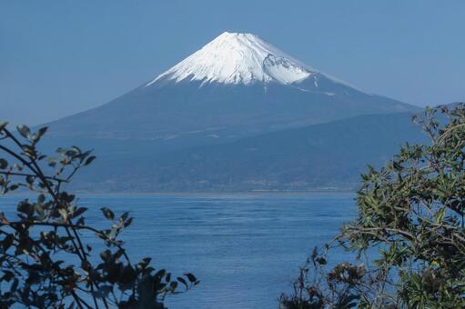 富士山 富士山,海,年賀状の写真素材