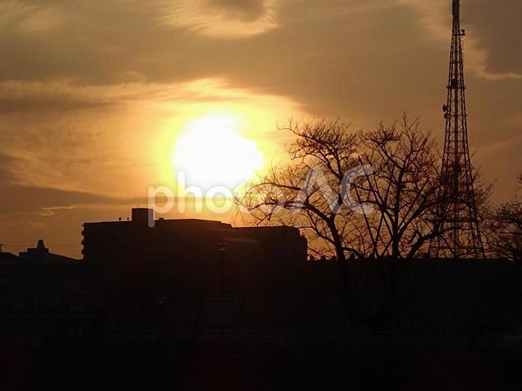 マジックアワー　街の夕日 夕焼け,夕日,金色の写真素材