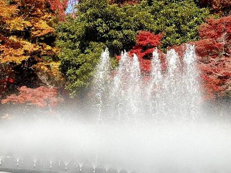 噴水のある風景(秋) 01 噴水,水景施設,紅葉の写真素材