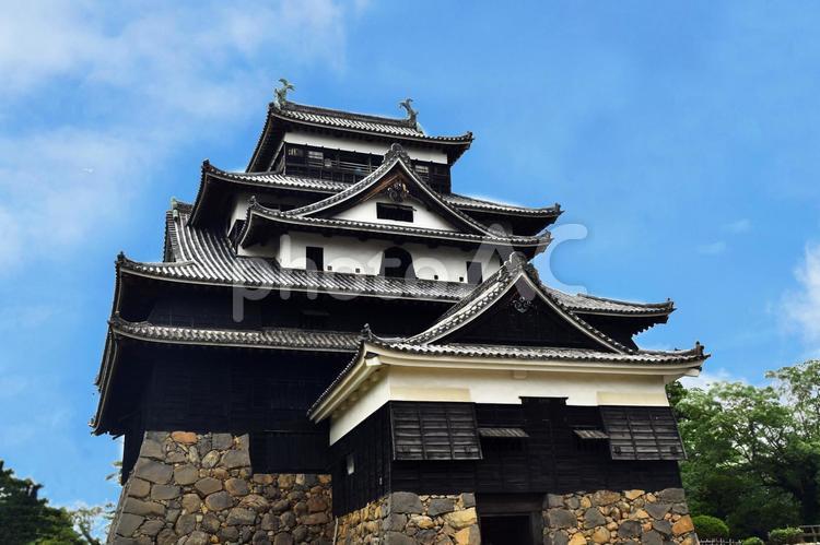 島根　松江　松江城 松江城,島根,島根県の写真素材