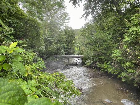 森の川に架かる橋 森の川に架かる橋 橋,森,川の写真素材