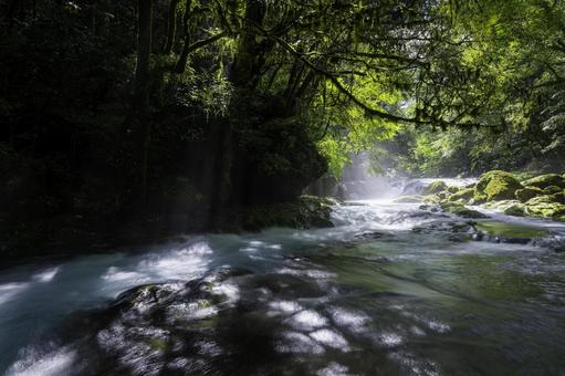 熊本-【菊池渓谷の光芒】 熊本-【菊池渓谷の光芒】 熊本,菊池渓谷,川の写真素材