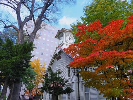 札幌市時計台  紅葉 時計台,建物,木造の写真素材