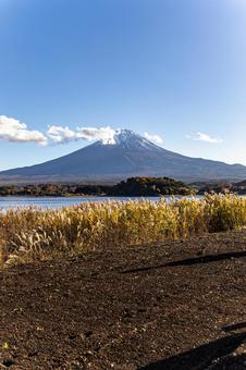 河口湖から見える富士山 河口湖,富士山,大石公園の写真素材