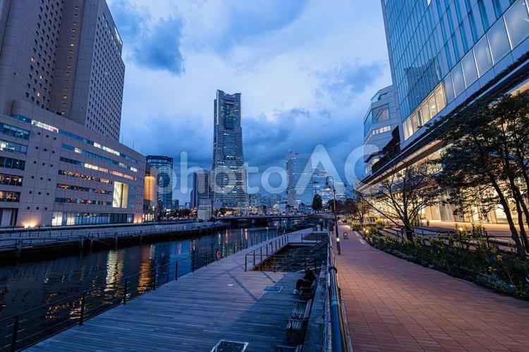 夕暮れ時の横浜市役所前の景色 横浜市役所,市役所,港町の写真素材