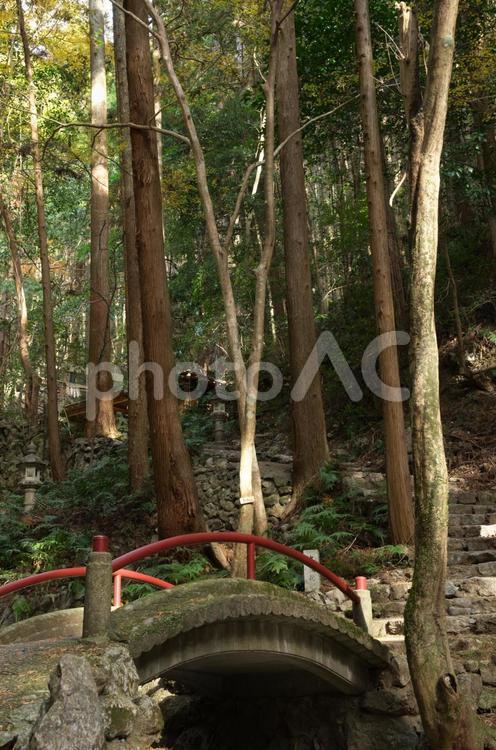 山林の中の石橋 鳥居,灯籠,神社の写真素材