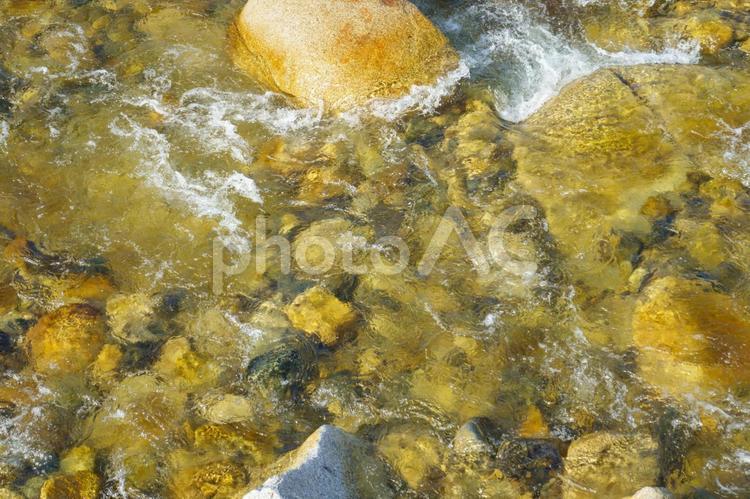 清流に輝く川底の石たち 川,清流,水面の写真素材