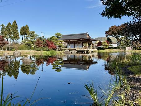 秋の昼間の紫式部公園　11月　紅葉 秋,紫式部公園,紅葉の写真素材