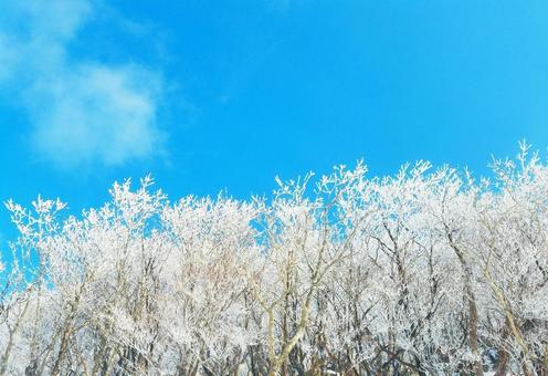 雪景色 雪景色の写真