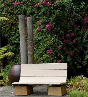 ブーゲンビリアを背負うベンチ ブーゲンビリアを背負うベンチ ベンチ,イス,椅子の写真素材