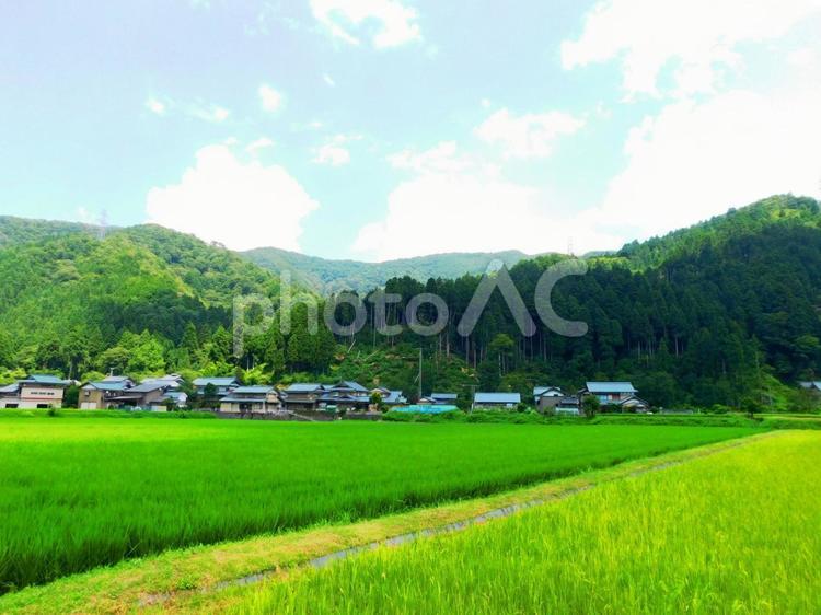田舎の風景 里山,田園風景,田舎の写真素材