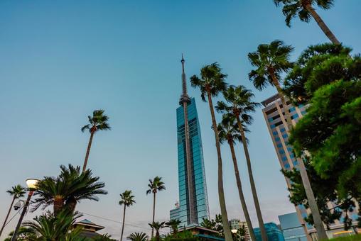 【福岡】福岡タワー 福岡,綺麗,風景の写真素材