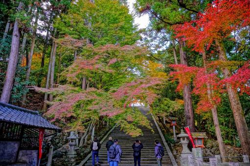 京都・法輪寺の紅葉(嵐山) 京都・法輪寺の紅葉(嵐山) 紅葉,もみじ,京都の写真素材