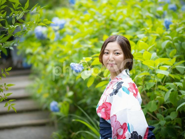 32：紫陽花と浴衣の女性 紫陽花,あじさい,浴衣の写真素材