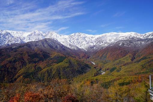 紅葉 山,自然,風景の写真素材