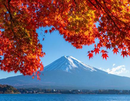 富士山と紅葉 富士山と紅葉の写真
