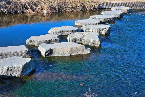 小畔川にある飛び石5 飛び石,川,堤防の写真素材