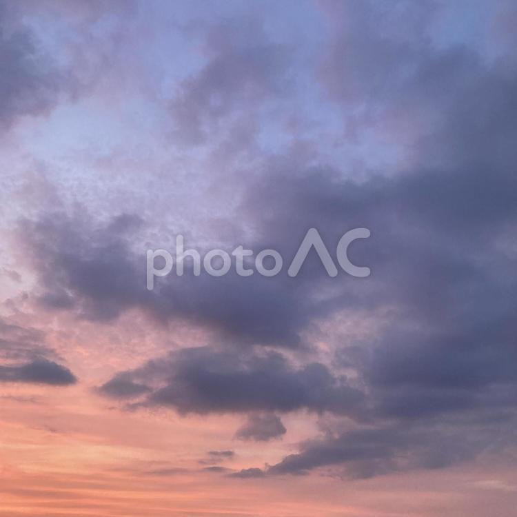 紫とオレンジの空　夏の夕暮れ 夕暮れ,空,天気の写真素材