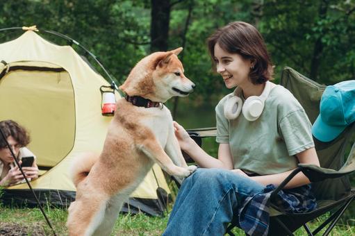 犬と男性と女性 女性,外国人,犬の写真素材