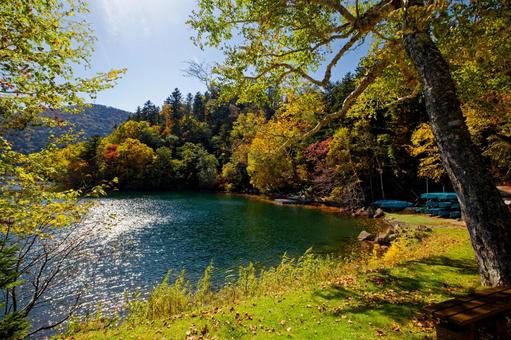 然別湖の紅葉 然別湖,秋,紅葉の写真素材