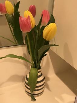 チューリップ チューリップ チューリップ,花瓶,花の写真素材