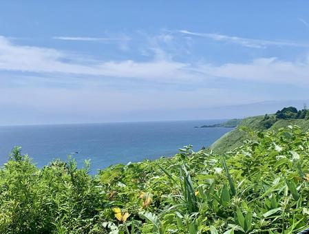夏の利尻の青い海 海,空,晴天の写真素材