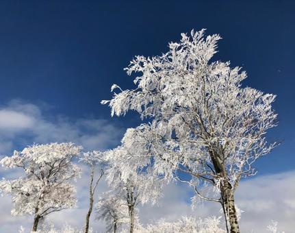 雪 景色 冬 雪 景色 冬の写真