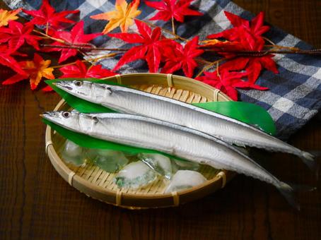 生秋刀魚.4 生秋刀魚.4 秋刀魚,生魚,魚の写真素材