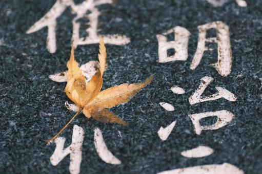 落ち葉と和風石碑の文字が映える秋の風景 落ち葉と和風石碑の文字が映える秋の風景 落ち葉,紅葉,もみじの写真素材