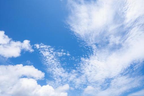 空背景 空背景の写真