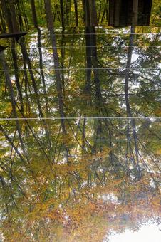秋の空気神社⑷ 空気神社,モニュメント,空気の写真素材